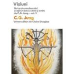 Viziuni. Note ale seminarului sustinut intre 1930 si 1934 de C. G. Jung, volumul 2 - Sofia Manuela Nicolae, Oana Badea