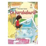 Ce harababura! - Veronique Cauchy
