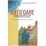 Antifoane omiletice - Constantin Necula