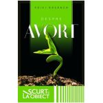 Despre avort - Paivi Rasanen