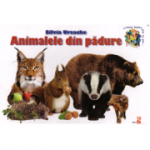 Animalele din padure - Silvia Ursache