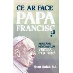 Ce ar face Papa Francisc? - Sean Salai, S.J.