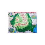 Romania. Harta fizica + harta repartitiei oraselor