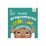 Ce este programarea. Descopar stiintele de mic - Ruth Spiro
