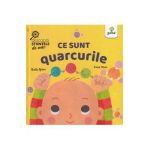 Ce sunt quarcurile. Descopar stiintele de mic - Ruth Spiro