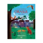 Hai sa descoperim orasul. Carte de explorat - Sebastien Braun