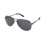 Ochelari de soare Alpina A 107 Titanium Matt/Black Mirror