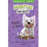Aventuri la Ham Hotel. Moody cea murdara - Shelley Swanson Sateren, Deborah Melmon