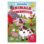 Coloram animale domestice. 80 de pagini pentru tine!