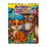Animale domestice. Ochisori