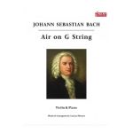 Air on G String - Johann Sebastian Bach - Vioara si pian