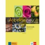 Aspekte neu B1 plus bis C1. Mittelstufe Deutsch, Grammatik - Tanja Mayr-Sieber