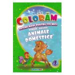 Coloram desene mari pentru cei mici: Animale domestice