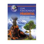 Cum functioneaza Pamantul