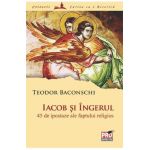 Iacob si Ingerul - Teodor Baconschi