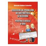 Algebra cls V-VIII. Culegere de matematica
