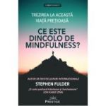 Ce este dincolo de Mindfulness? - Stephen Fulder