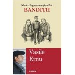 Banditii - Vasile Ernu