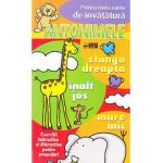 Antonimele - Prima mea carte de invatatura