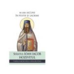 M-am ascuns in pustie si lacrimi. Viata, minunile, rugaciuni - Sfantul Ioan Iacob Hozevitul