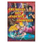 Frumoasa din padurea adormita dupa fratii Grimm - Carte de colorat A4