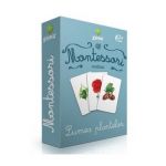 Montessori. Vocabular: Lumea plantelor
