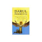 Darul Ingerului 2008
