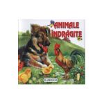 Animale indragite - Pliant