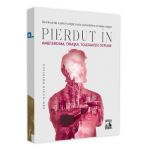 Pierdut in Amsterdam, orasul tolerantei depline - Dan-Silviu Boerescu