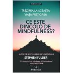 Ce este dincolo de Mindfulness? - Stephen Fulder