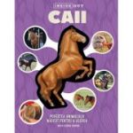 Caii. 3D