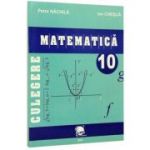 Culegere matematica clasa a 10-a - Petre Nachila, Ion Chesca