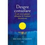 Cum sa-ti gasesti alinarea in vremuri intunecate - Michael Ignatieff