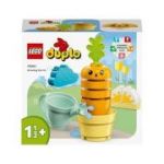 LEGO DUPLO. Kit de cultivare al morcovului 10981, 11 piese