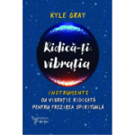 Ridica-ti vibratia. Instrumente cu vibratie ridicata pentru trezirea spirituala - Kyle Gray