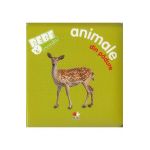 Bebe invata - Animale din padure