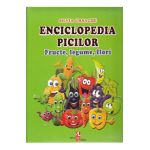 Enciclopedia picilor: Fructe, legume, flori - Silvia Ursache