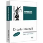 Dreptul muncii, editia a 9-a, revazuta si adaugita - Alexandru Ticlea, Laura Georgescu
