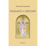 Frumusetea Sfinteniei. Prolegomene la o estetica filocalica a Ortodoxiei - Hrisostom Stamoulis