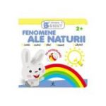 Fenomene ale naturii. Iepurasul Bunny