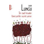 In iad toate becurile sunt arse - Dan Lungu