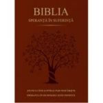 Biblia. Speranta in suferinta, Coperta maro