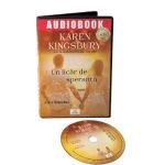 Audiobook. Un licar de speranta - Karen Kingsbury