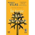 In toate a fost frumusete - Manuel Vilas