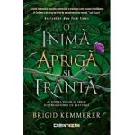 O inima apriga si franta. Seria Distrugatorii de blesteme Vol.2 - Brigid Kemmerer