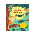 Ce fac cand sunt trista? - Nanna Nebhover