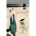 Protestul brazilor de Craciun - Rasvan Popescu