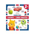 Disney Bebe. Primele mele cuvinte in limba engleza