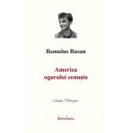 America ogarului cenusiu - Romulus Rusan