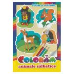 Coloram animale salbatice. Privim si coloram